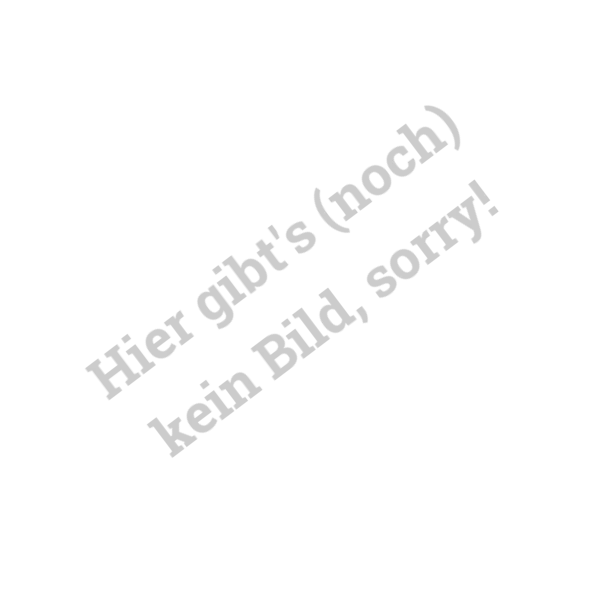 Kein Artikelbild